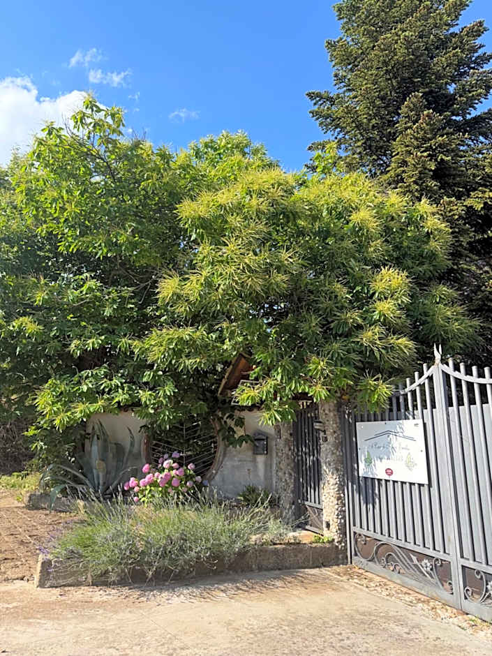 A Casa di nonna Emilia