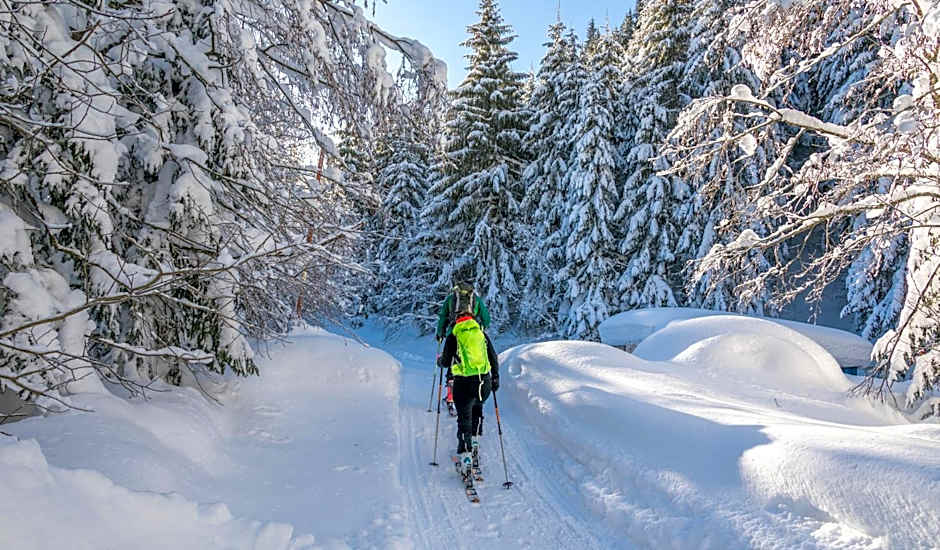 Hotel Dorfgasthof Schlösslstube
