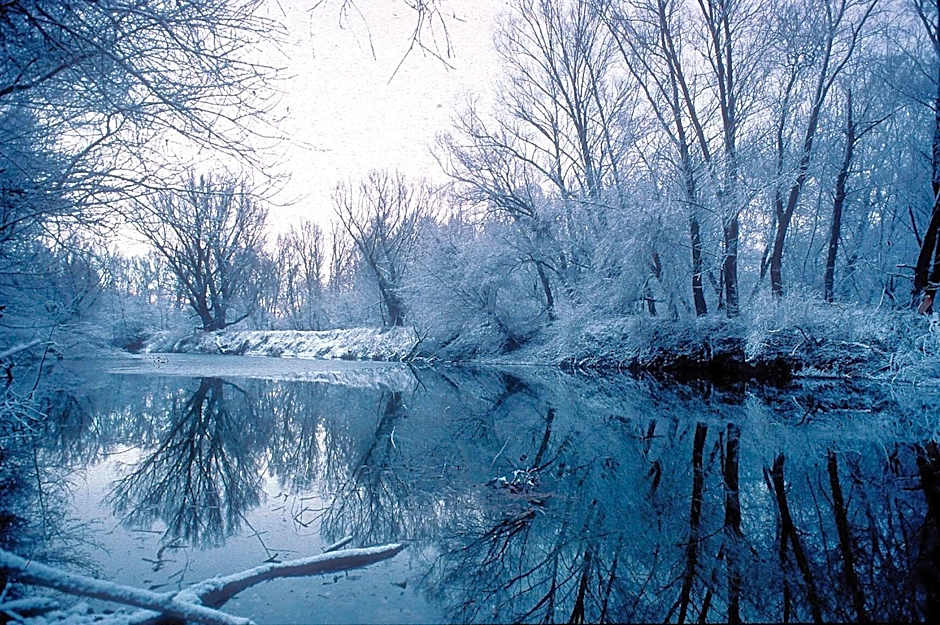 Landhotel Wachau - Hotel Garni