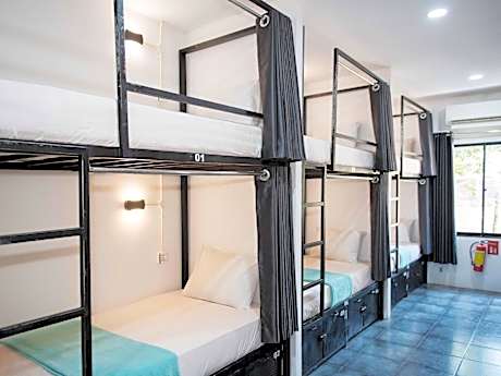 Bunk Bed in Mixed Dormitory Room