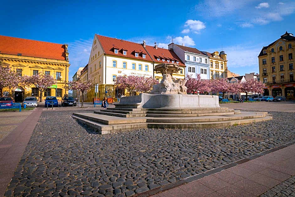 Hotel Ceska Koruna