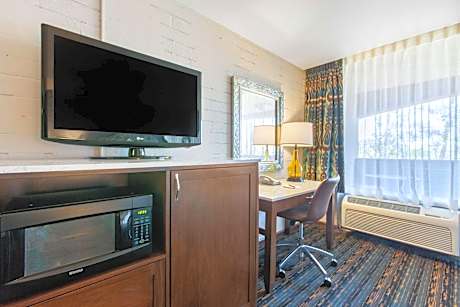 King Suite with Sofa Bed