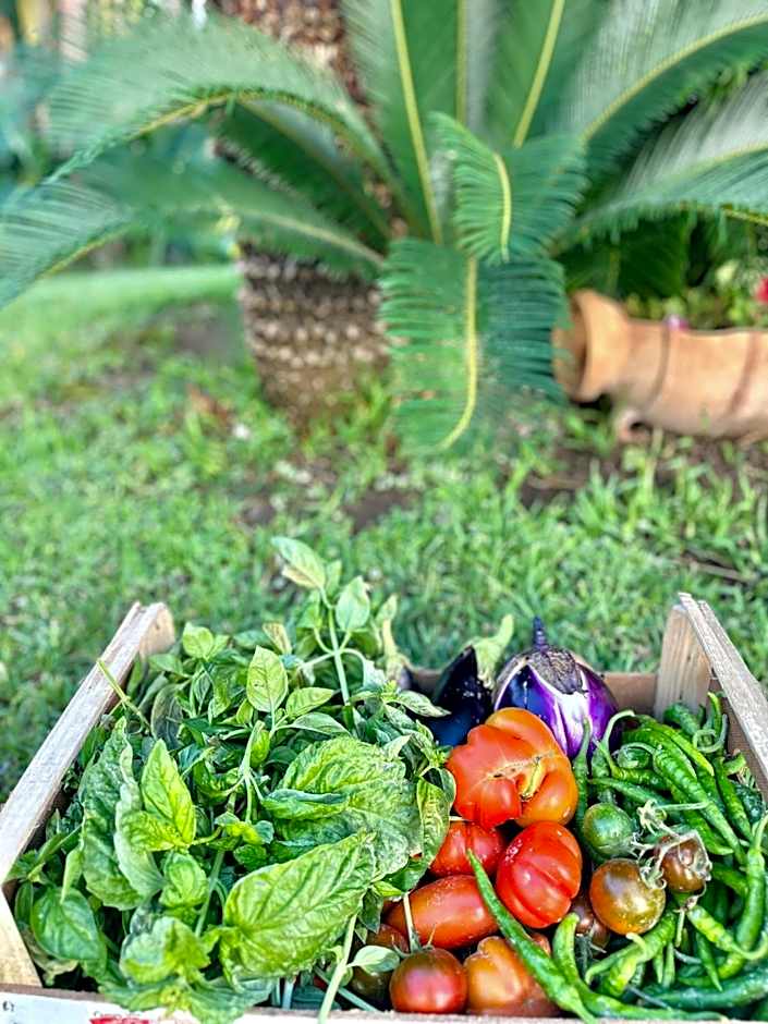 Hotel Boutique Ideal