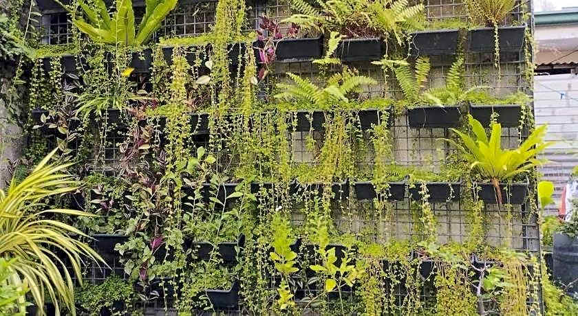 The Hub District Garden Suites