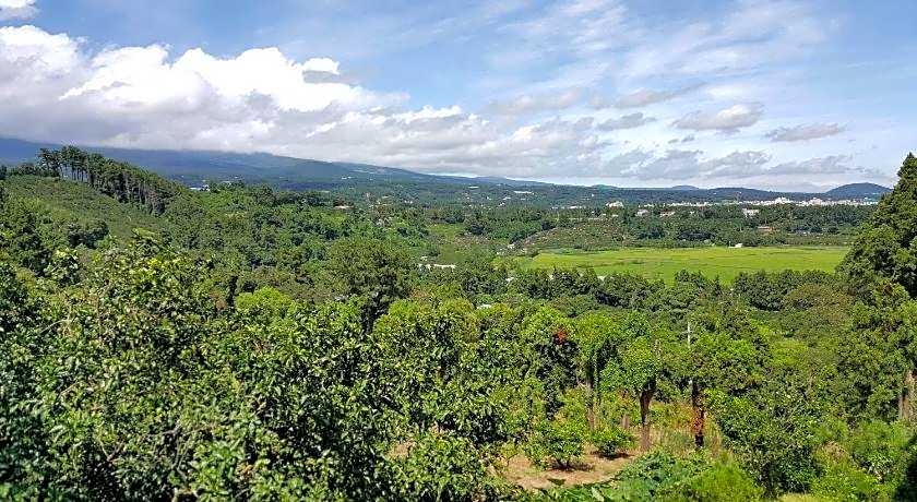 Dreaming Forest Pension