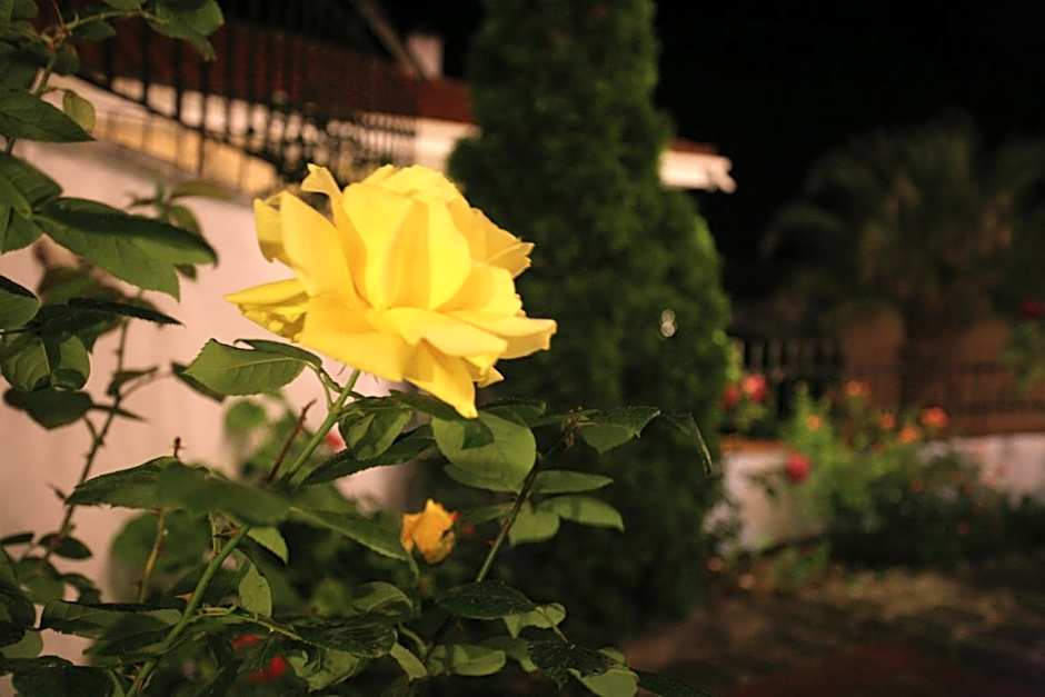 Anatoli Apartments Polichrono