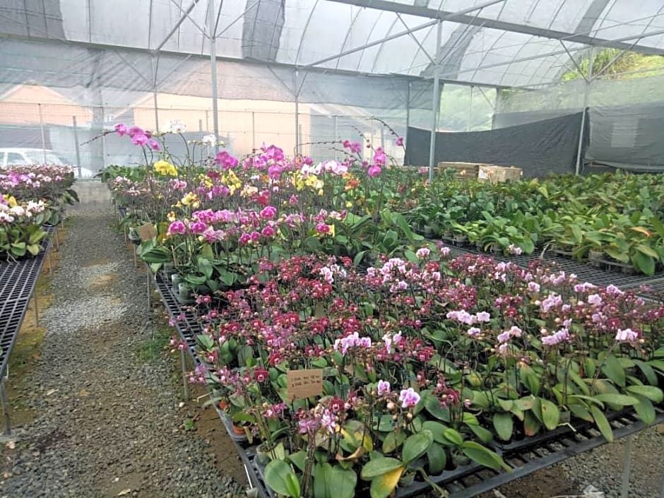 Puncak Inn Fraser'S Hill