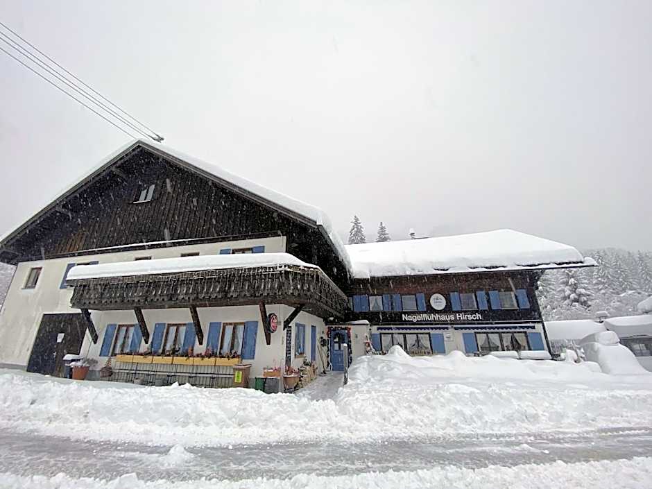 Nagelfluhhaus Hirsch