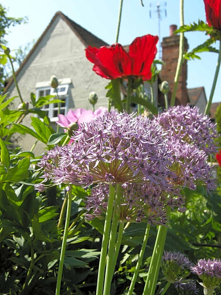 Motts Bed & Breakfast