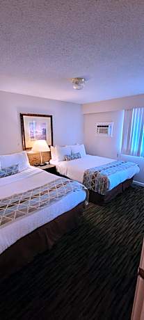 Apartment Suite (Non-Pet Friendly)