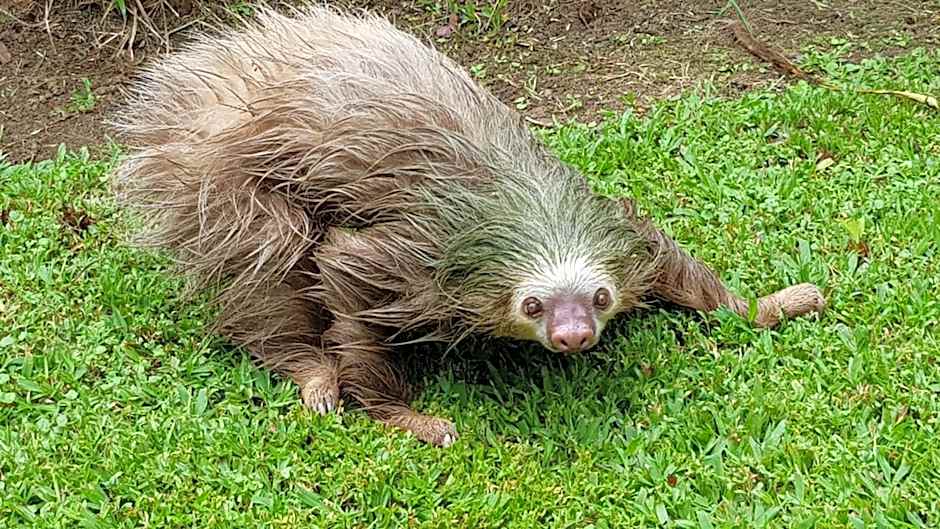Ciudad Perdida EcoLodge
