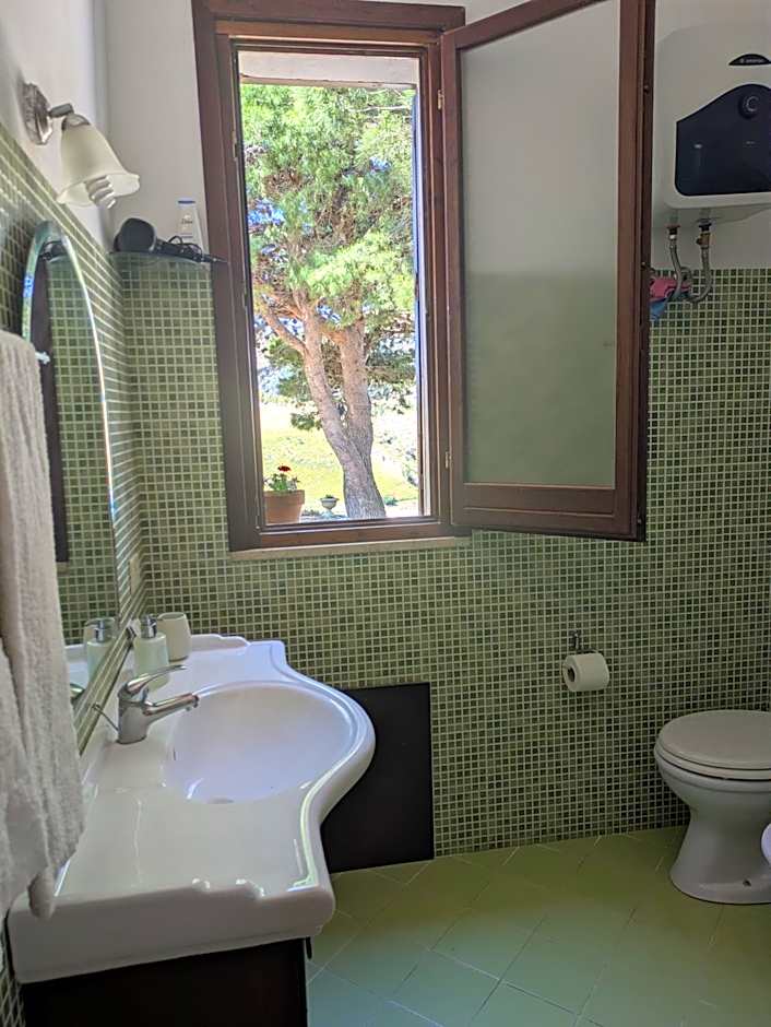 Helimos B&B with Segesta Temple view near Castellammare del Golfo