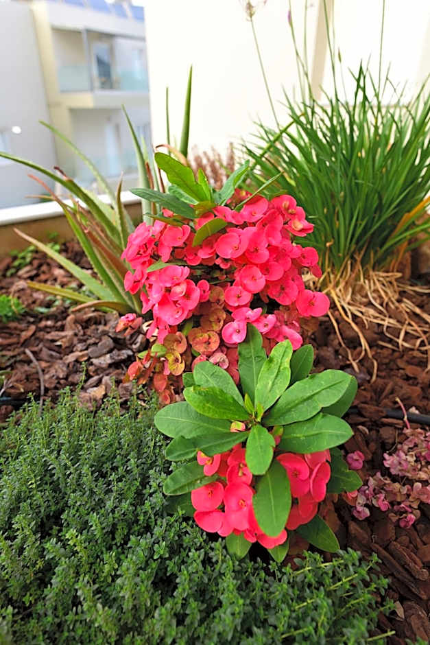 Blue Horizon Apartments