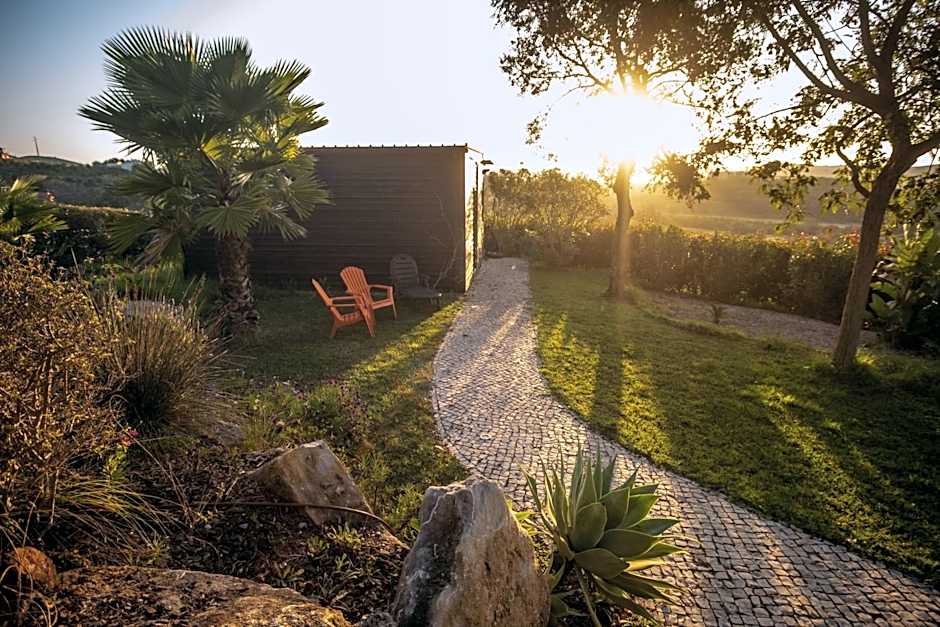 Gato Preto de Silves - Adults Only