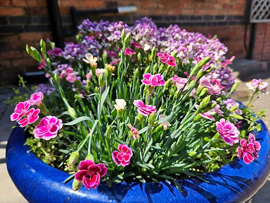 Belmont Leicester Hotel