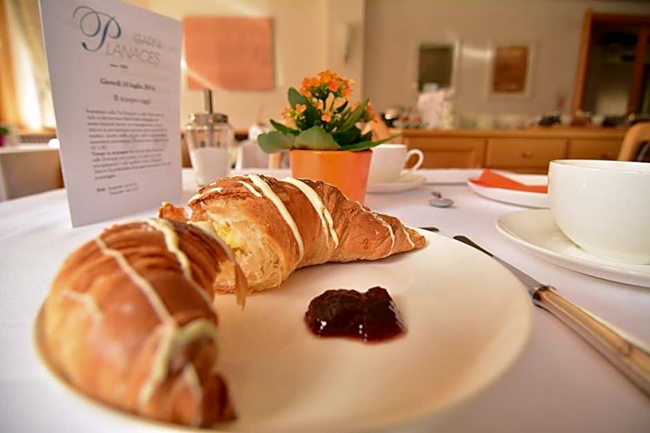 Hotel Garni Planaces