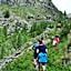 Hotell Millefiori- Alpine Event Lodge