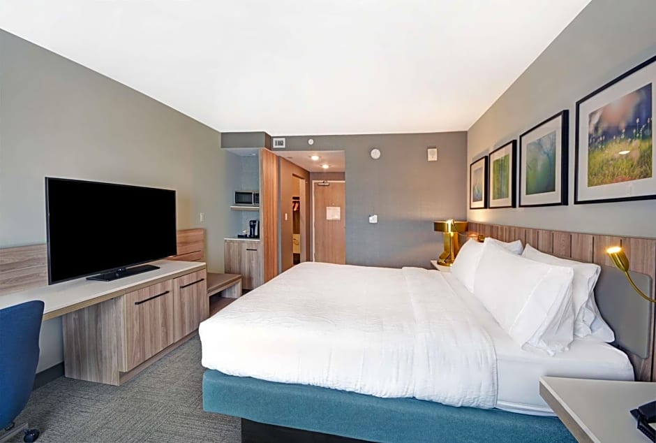 Hilton Garden Inn Houston Hobby Airport