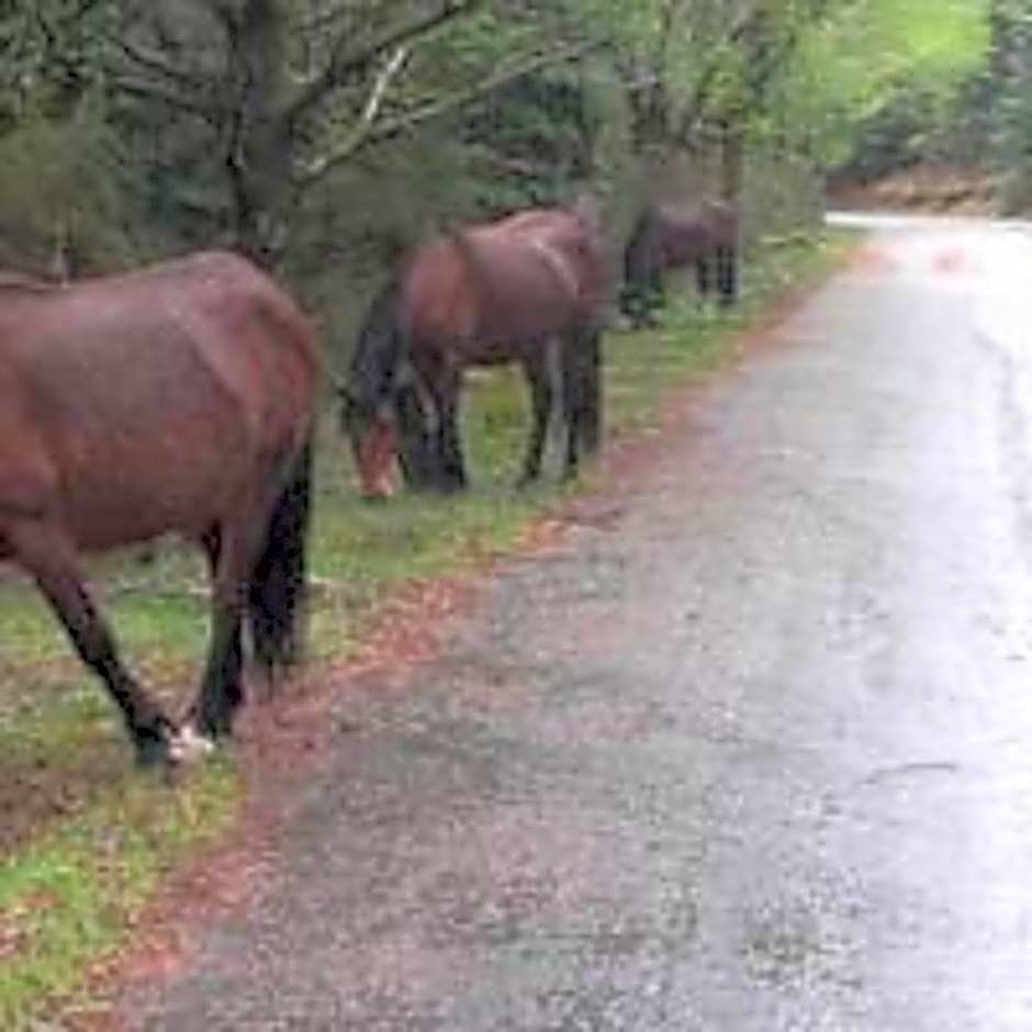 Moderna do Geres Hotel