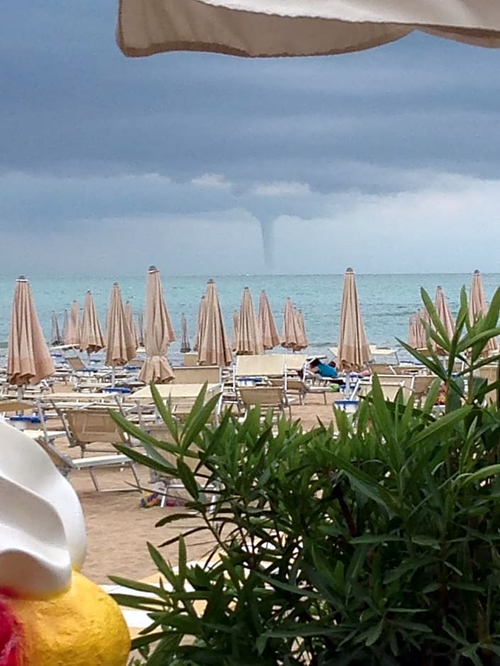 Hotel Silva Frontemare