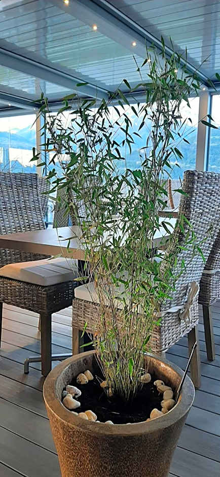 Hôtel Les Flots Bleus