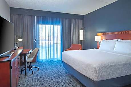 Room, 1 King Bed with Sofa bed (1 King Bed and 1 Double Sofa Bed)