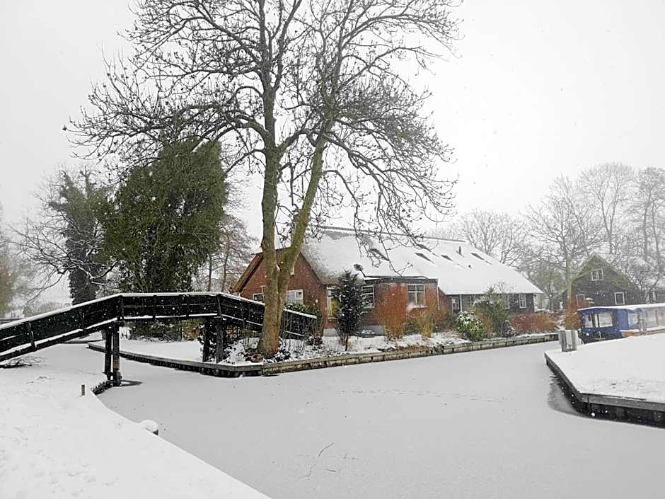 The Black Sheep Hostel