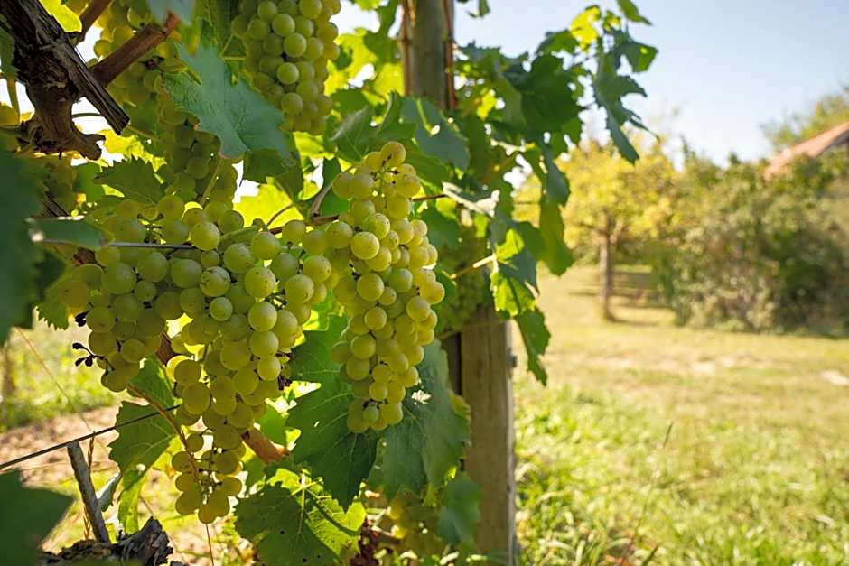 Mainfranken Motel - Anreise rund um die Uhr - Neueröffnung 2023