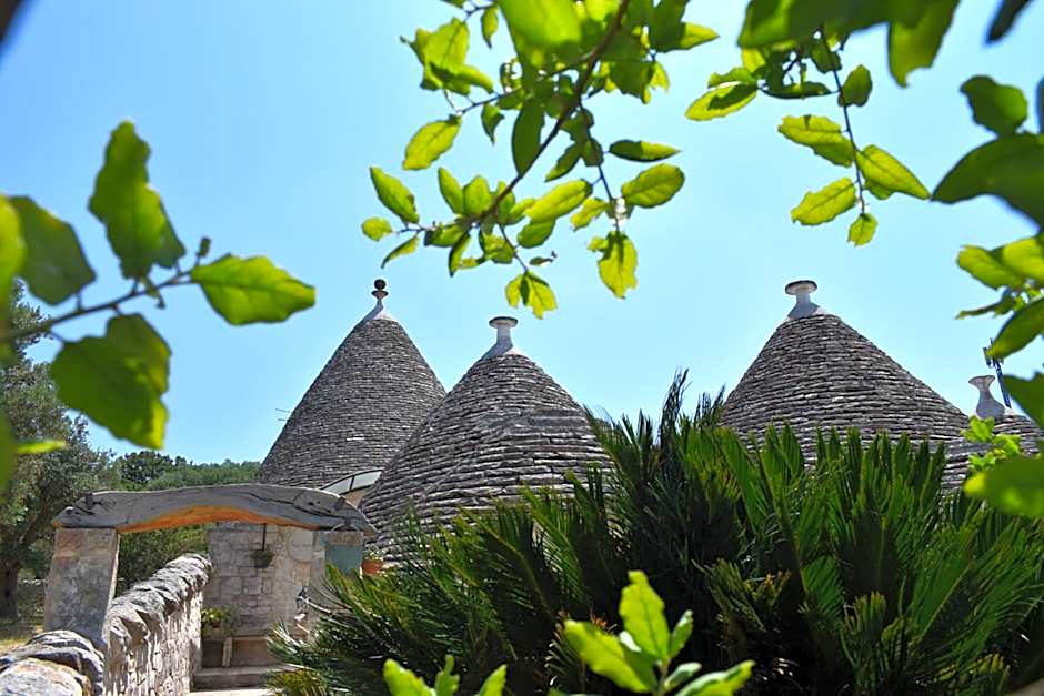 B&B La Rosa dei Trulli Alberobello