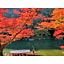 River Side Arashiyama - Vacation STAY 86266v