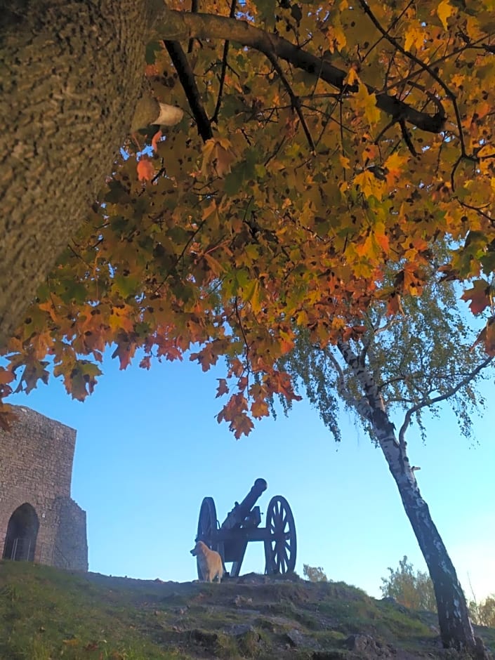 Willa Bona blisko Zamku Królewskiego i Rezerwatu zapraszam na grę miejską Magiczne Chęciny