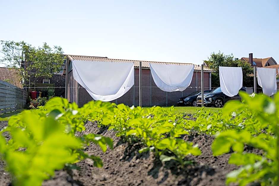 Table d'Hôte Teune & Janna