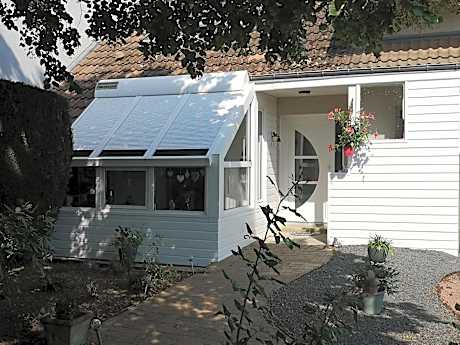 Les Eléphants bleus