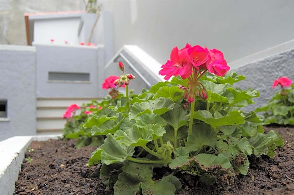 Apartamentos Turísticos Vitoria by Petit Hotels