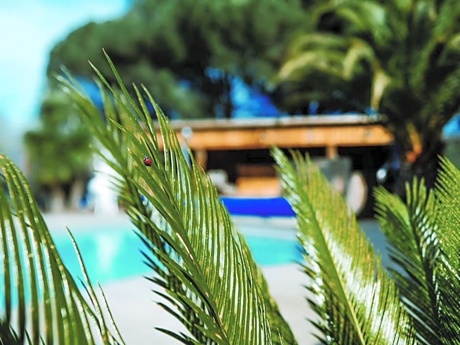 La Belle Landaise 1809 studio 4 couchages