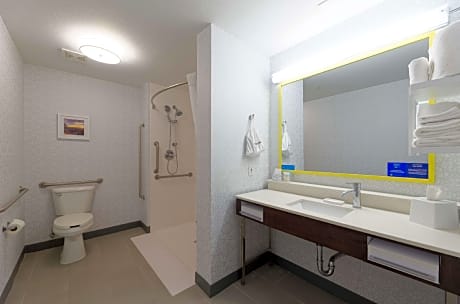 1 King Accessible Roll In Shower Non-Smoking