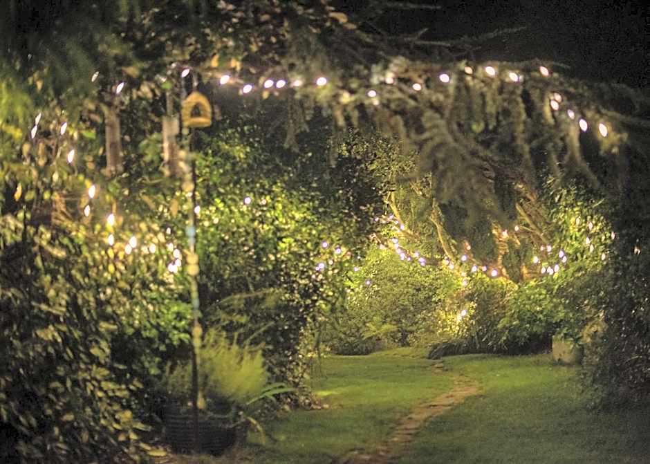 Ward Avenue B&B