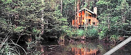 Woodlands Rainforest Retreat