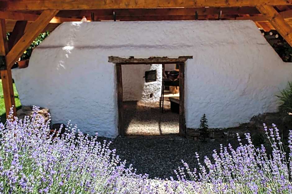 Reichau Transilvania