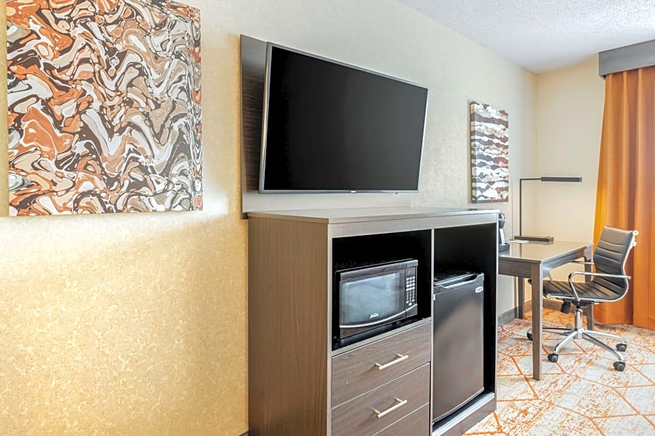 Photo 1 of 7 of 1 King Bed, Mobility Accessible, Bathtub