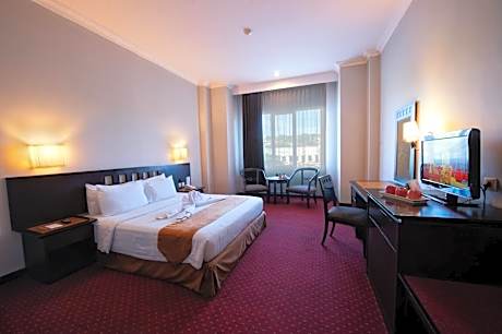 Superior Double or Twin Room with City View