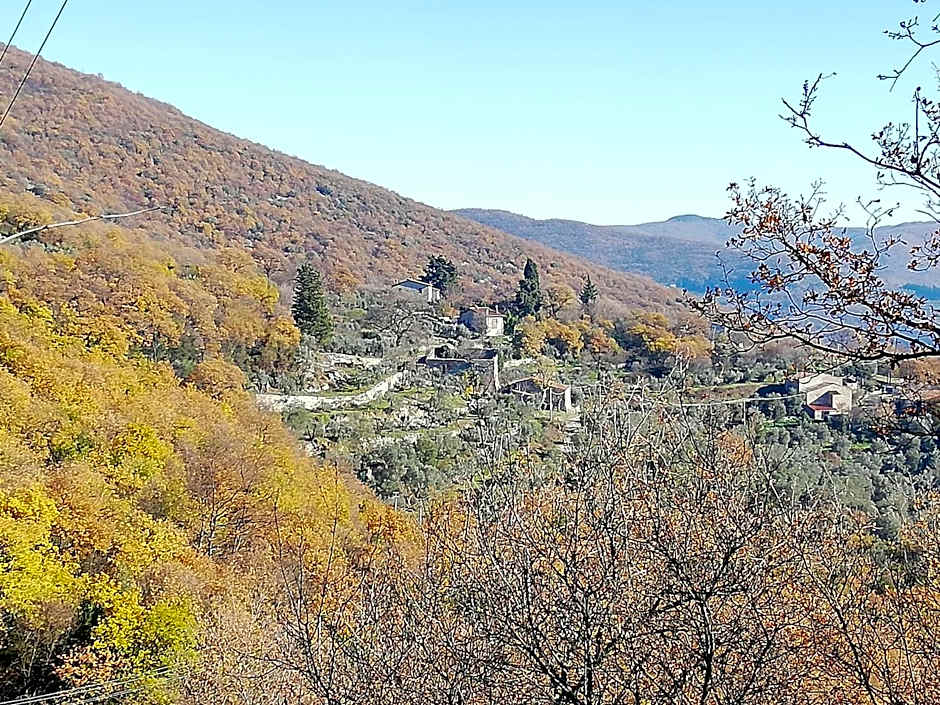 Agriturismo CasaMatta Azienda Agricola