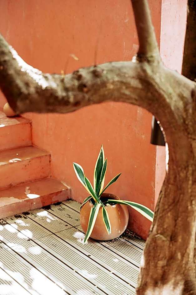 CASA CHAKÁ BOUTIQUE