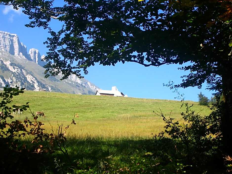 Zimmer & z'Morgä Schönenboden