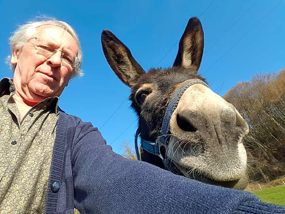 Sunhill Appartments, klimatisiert