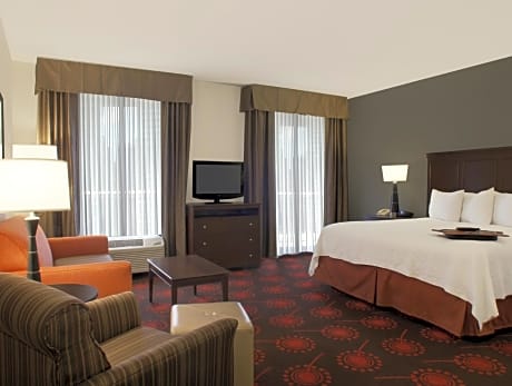 1 King Mobility Access Ri Shwr Suite Nosmok