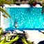 Kameleon Blue Arts Lodge