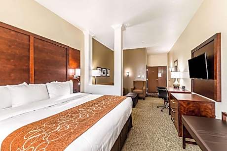 King Suite with Sofa Bed and Shower - Non-Smoking