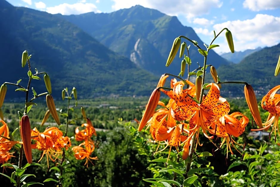 Bed & Breakfast Uvablu