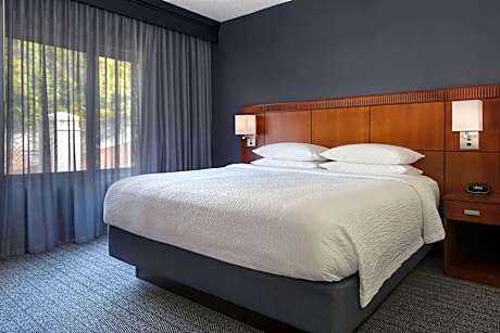 One-Bedroom King Suite with Sofa Bed